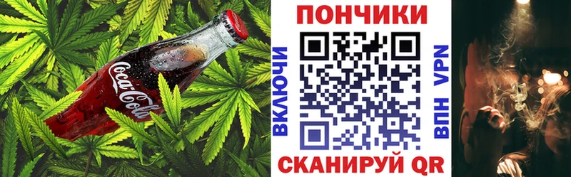 Cannafood конопля  где можно купить   Дигора 