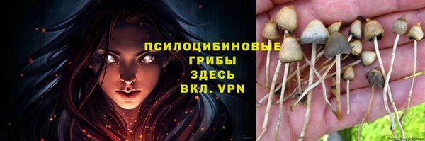 героин Белокуриха